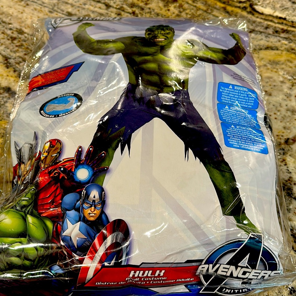 Men’s Hulk costume